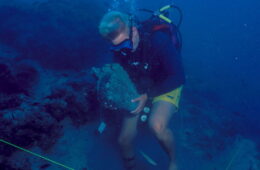 Υποβρύχια Έρευνα. Κυπρο-Μυκηναϊκό Ναυάγιο Ακρωτηρίου Ιρίων